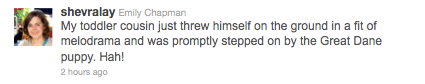 "My toddler cousin just threw himself on the ground in a fit of melodrama and was promptly stepped on by the Great Dane puppy. Hah!"