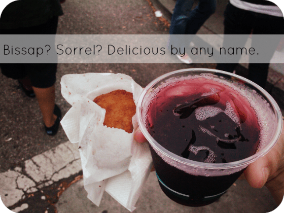 4913941306_02d44ff2a4_o