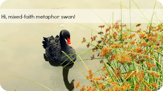 6244074050_d3bb841403_z