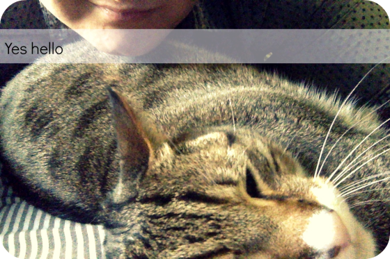 Photo on 3-23-15 at 5.30 PM